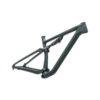 SPECIALIZED    Frameset Satin Green/Black Chrome/Chrome