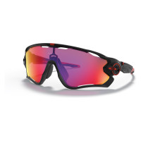 Oakley  OO9290-2031  black-prizm