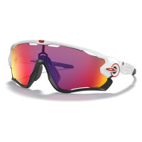Oakley  OO9290-05  white-prizm